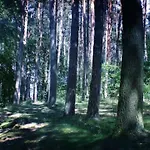 ホリデーパーク Ferienpark-canow Canow