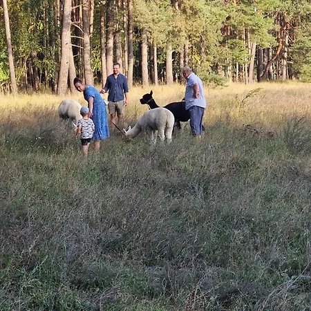 Ferienpark-canow منتزه العطل Canow