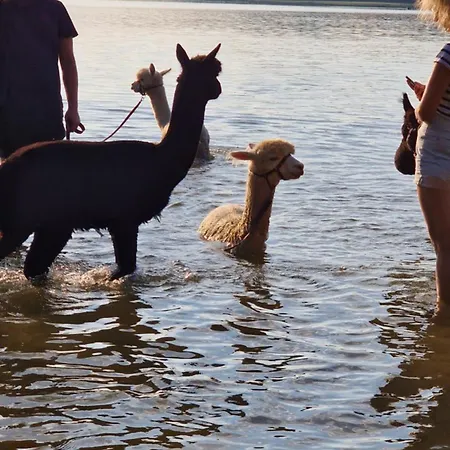 Ferienpark-canow Canow