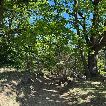 Ferienpark-canow Canow