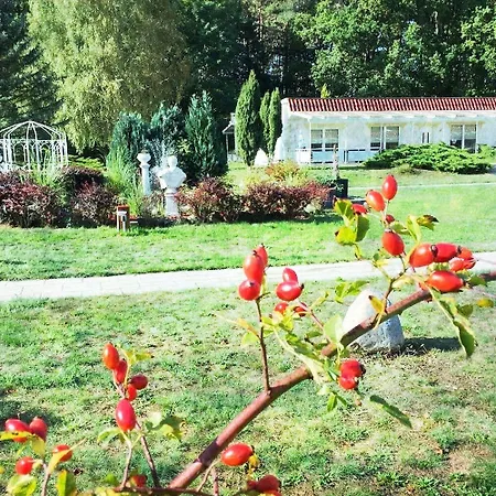 פארק נופש Ferienpark-canow Canow