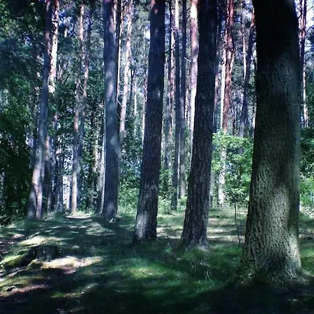 Tatil parkı Ferienpark-canow Canow