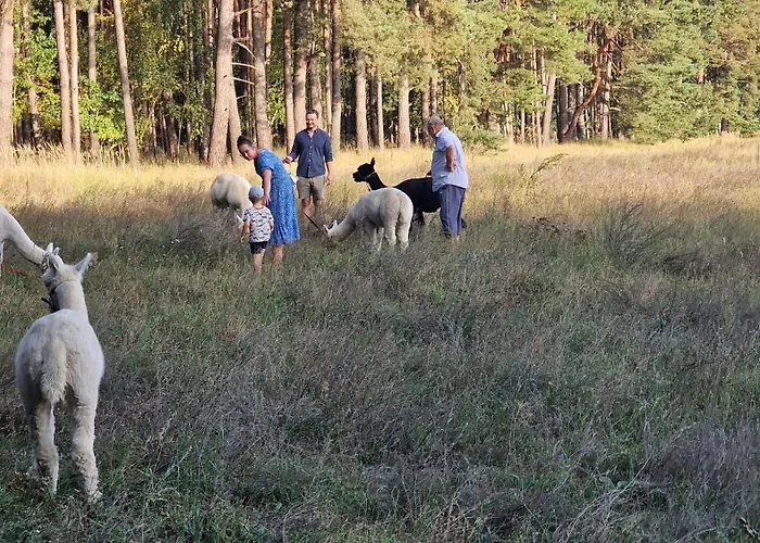 Ferienpark-canow ホリデーパーク Canow