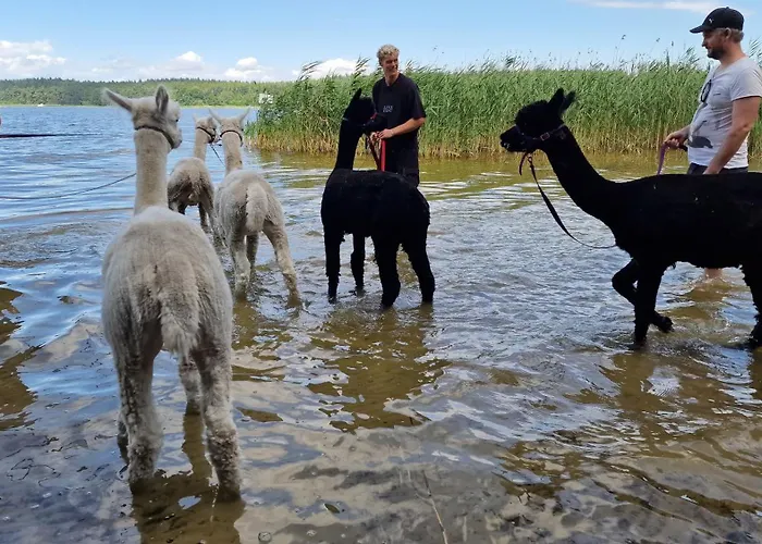 Ferienpark-canow 3* Canow