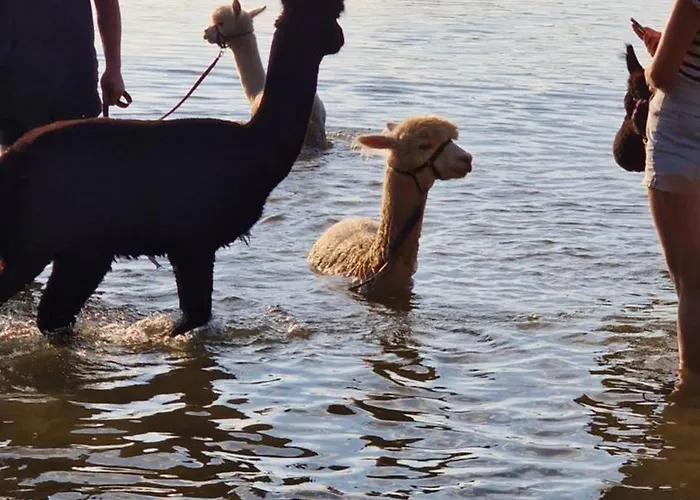 Ferienpark-canow Canow