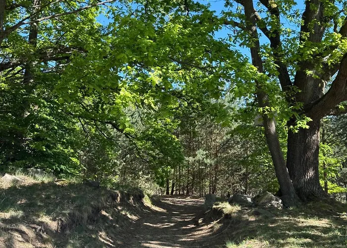 Ferienpark-canow Canow