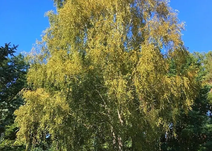 Ferienpark-canow ホリデーパーク 3*