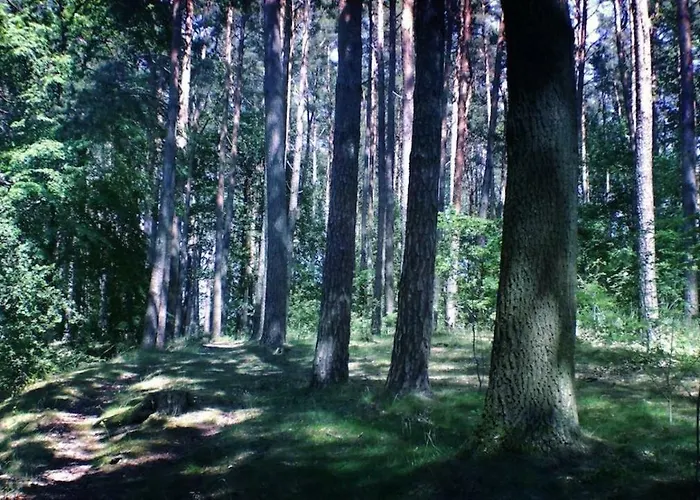 ホリデーパーク Ferienpark-canow Canow